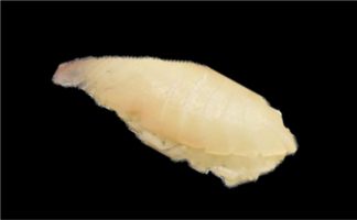 Sushi daurade (2 pièces)